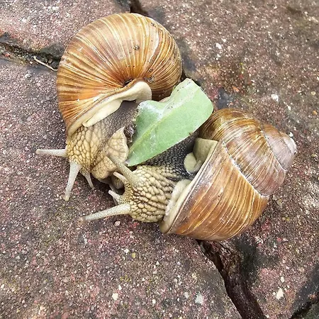 Magical Places Sea Side Maritime Dream Mrągowo