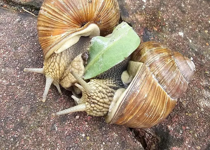 Magical Places Sea Side Maritime Dream Mragowo