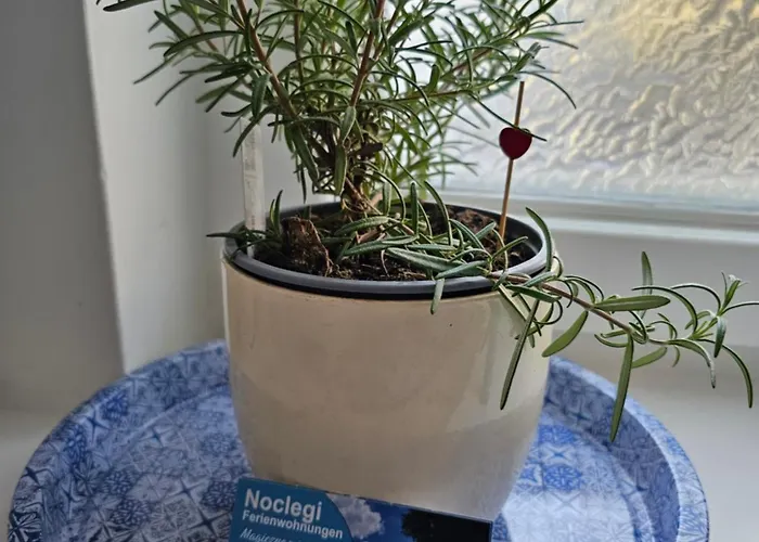 Magical Places Sea Side Maritime Dream